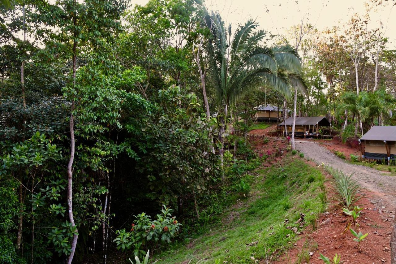 El Pulpo Safari Lodge Охочаль Экстерьер фото