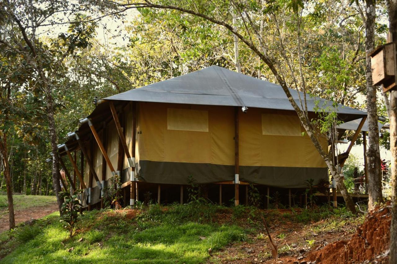 El Pulpo Safari Lodge Охочаль Экстерьер фото